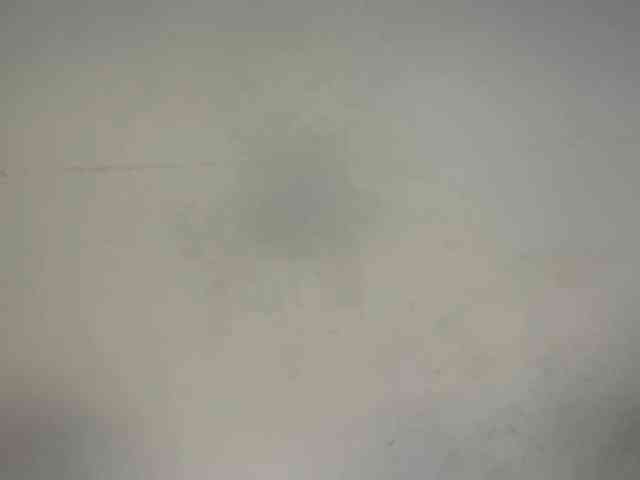 AngellaDingell webcam