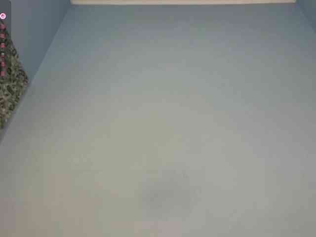 AngellaDingell webcam