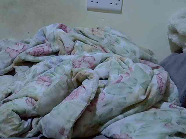 empress-rose webcam