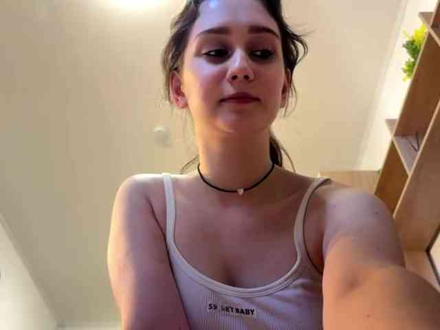 DionShotwell webcam
