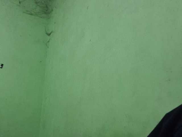 howlacakdo live cam on BongaCams