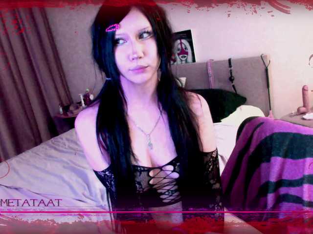 metatat live cam preview