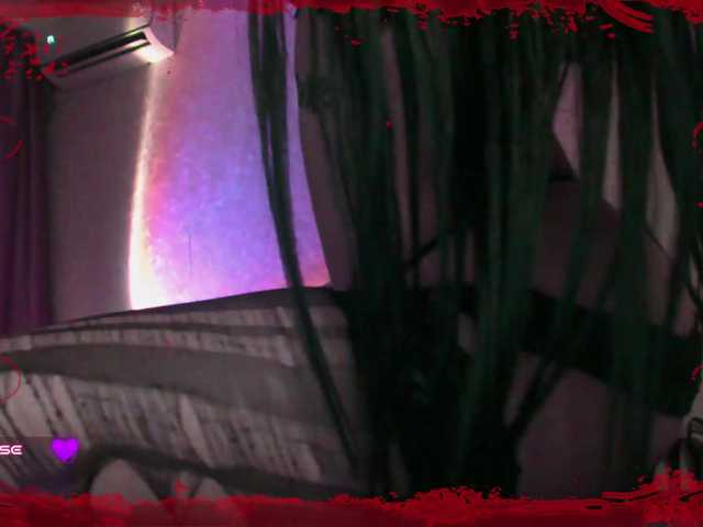 metatat live cam on BongaCams