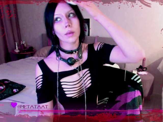 metatat live cam on BongaCams