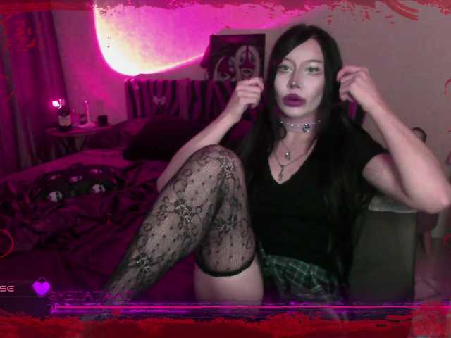 metatat live cam on BongaCams
