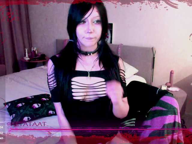 metatat live cam on BongaCams