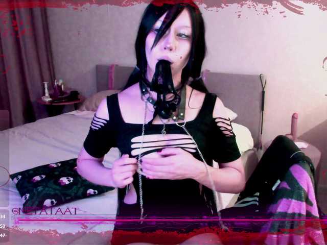 metatat live cam on BongaCams