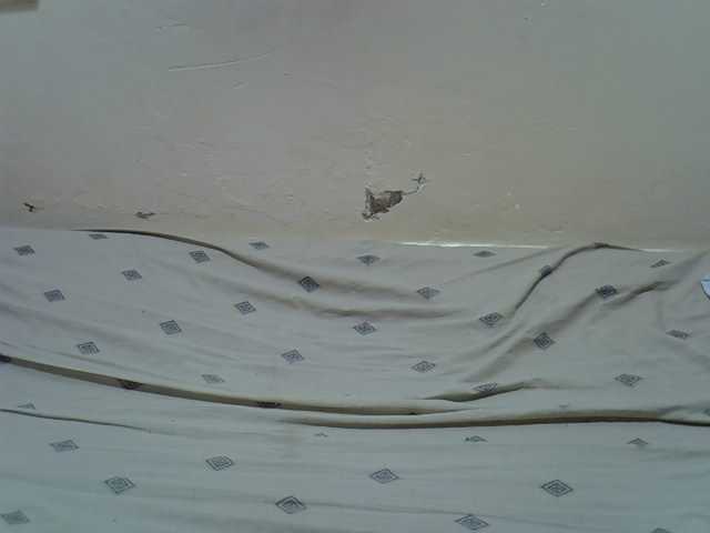 Petitegal live cam on BongaCams