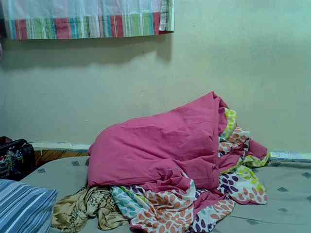 Petitegal webcam