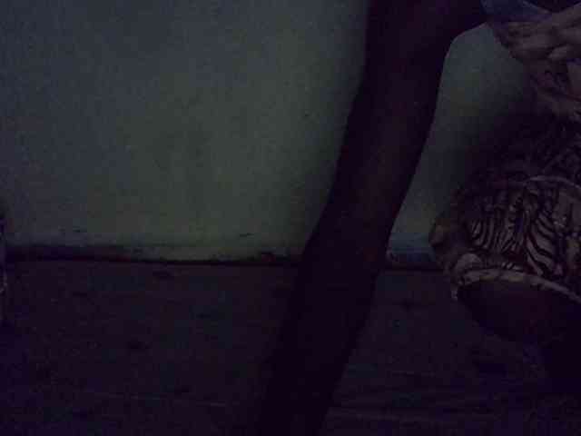 Petitegal webcam
