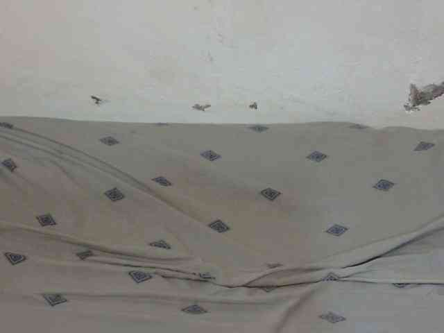 Petitegal webcam