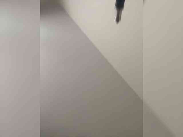 Cece3 webcam