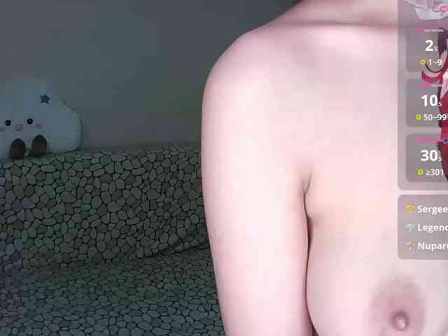 PrettyKIt webcam