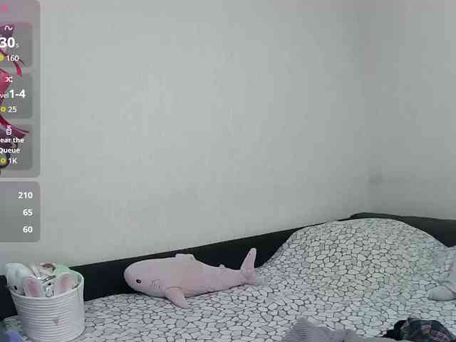 PrettyKIt webcam