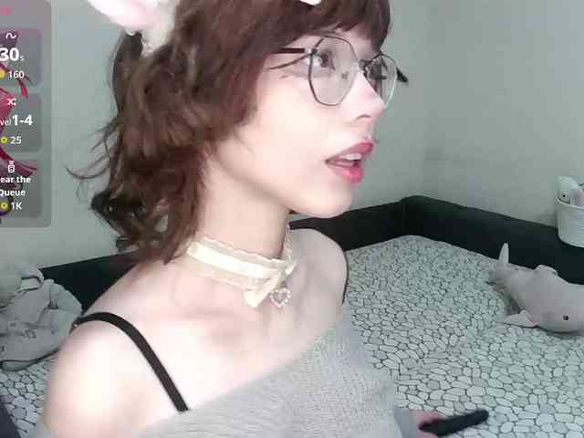 PrettyKIt webcam