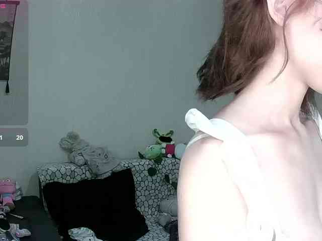 PrettyKIt webcam