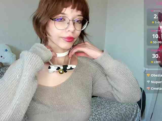 PrettyKIt webcam