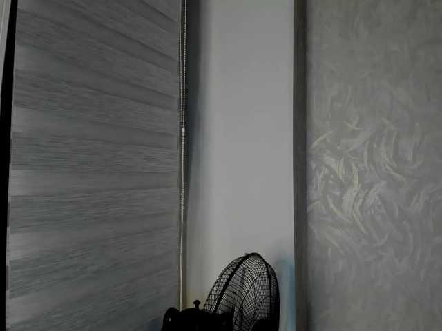 pure-elena live cam preview