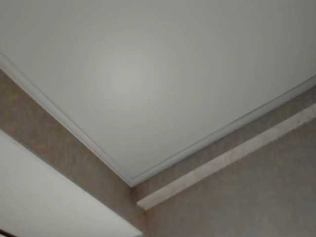 pure-elena live cam preview