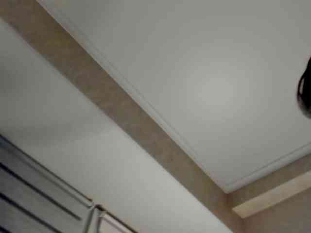 pure-elena webcam