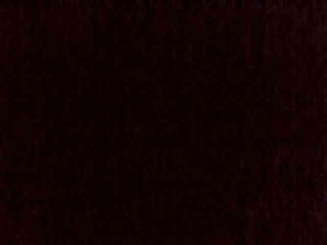sugarnovaa webcam