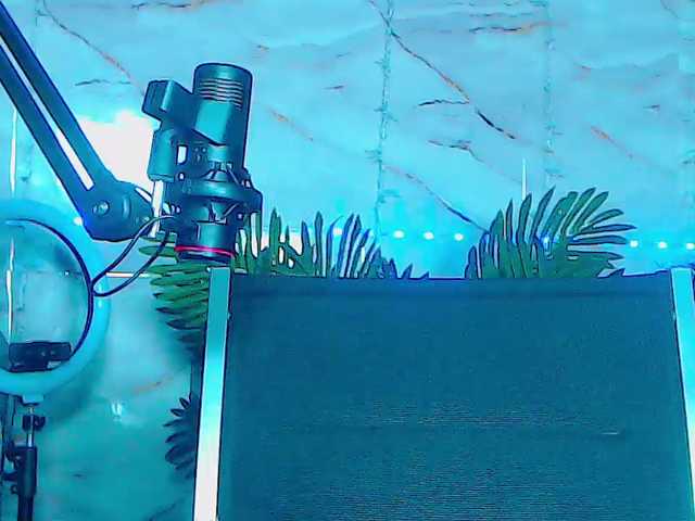 BunnyBliss3 live cam preview