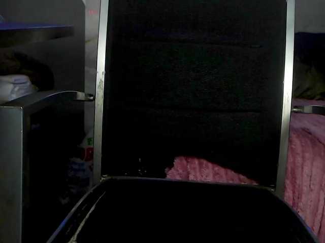 BunnyBliss3 live cam on BongaCams