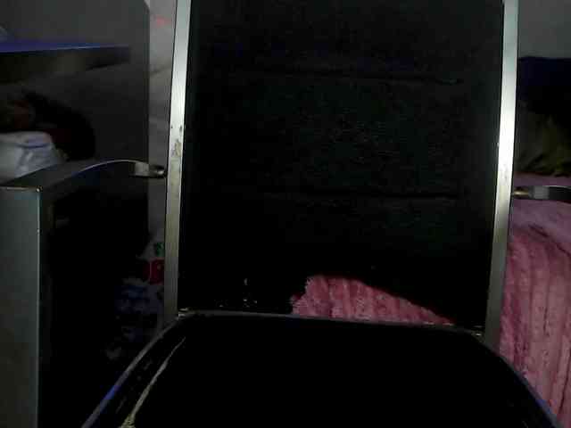 BunnyBliss3 webcam