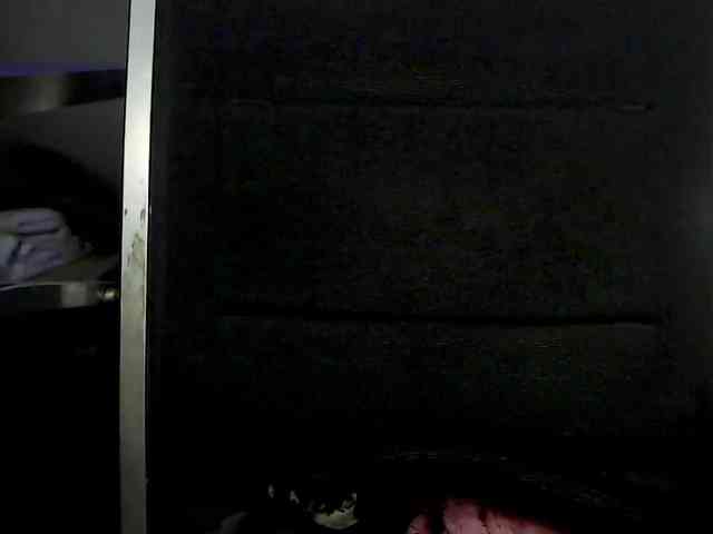 BunnyBliss3 webcam