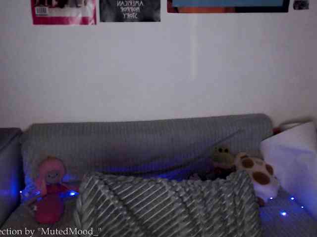 MutedMood_ webcam