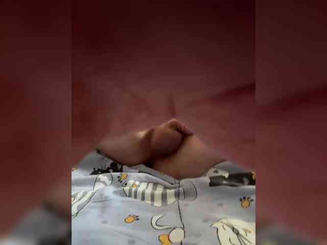 Virrrt1233