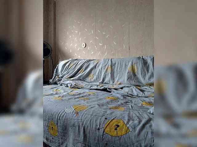 Dima870929