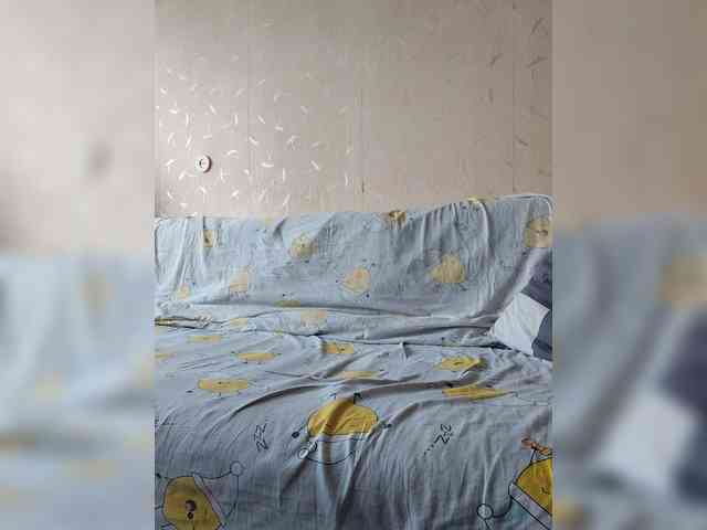 Dima870a