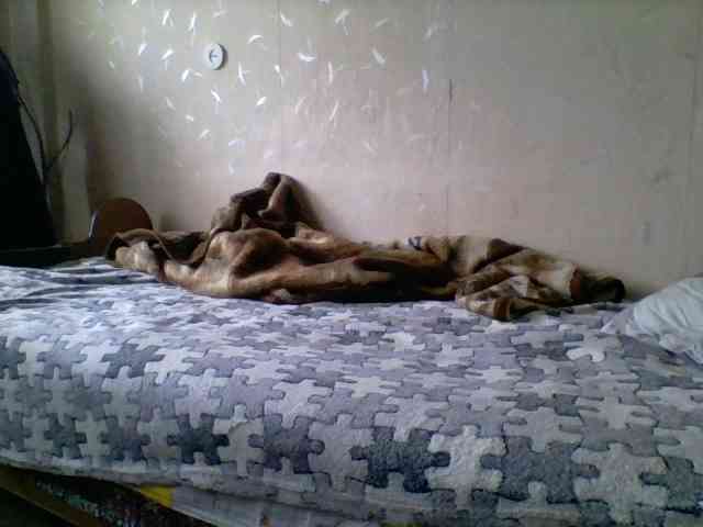 Dima870929