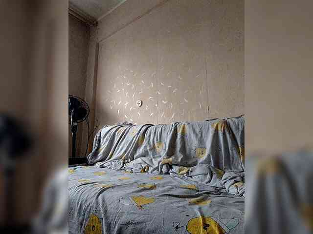 Dima870929