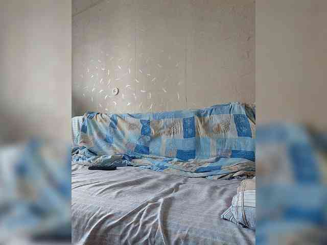 Dima870929