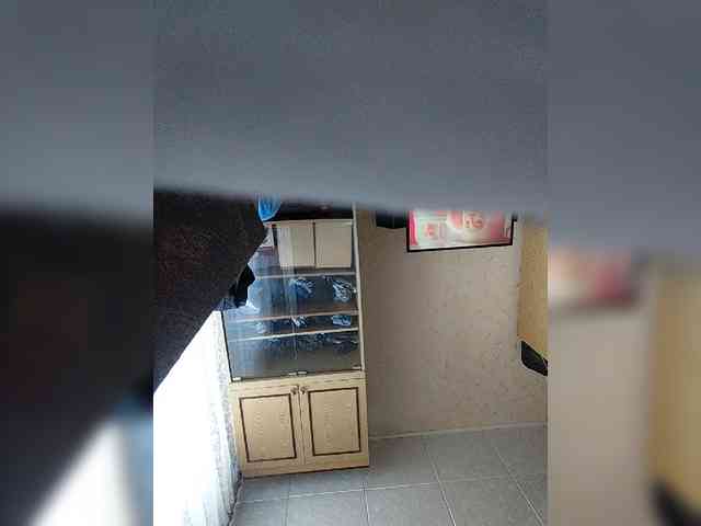 Dima870929