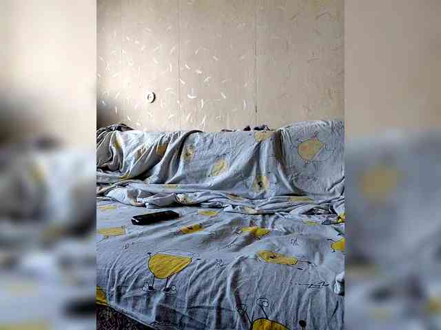 Dima870a