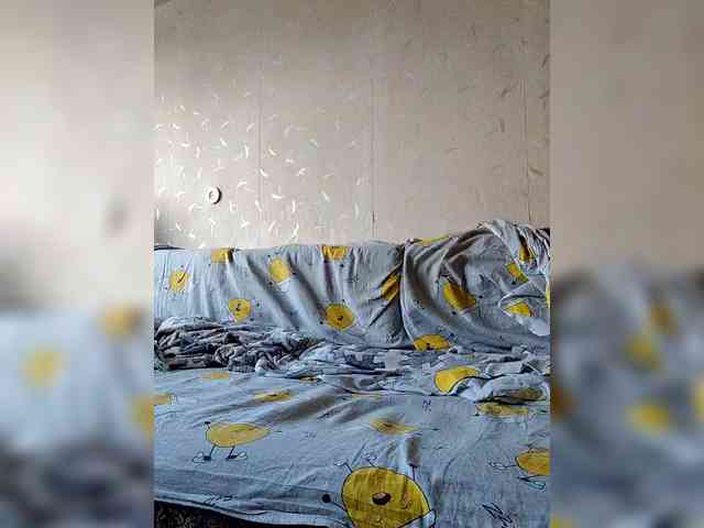 Dima870929
