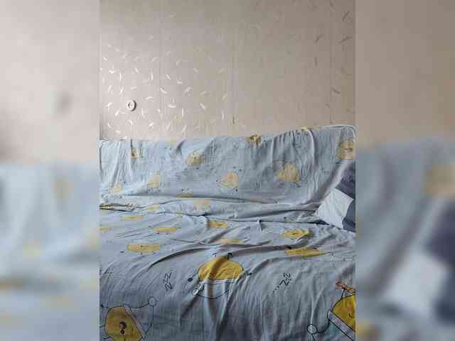 Dima870a