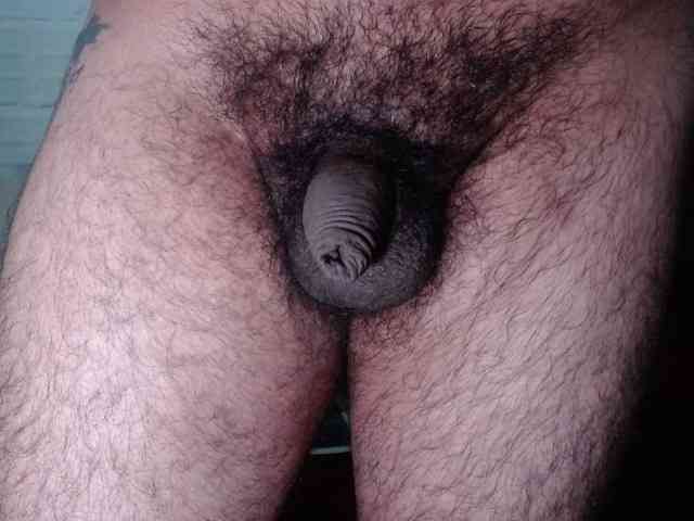 Tinycock2026