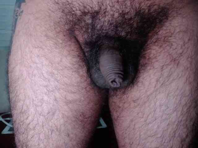 Tinycock2026