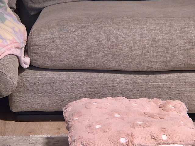 ChloeSinss