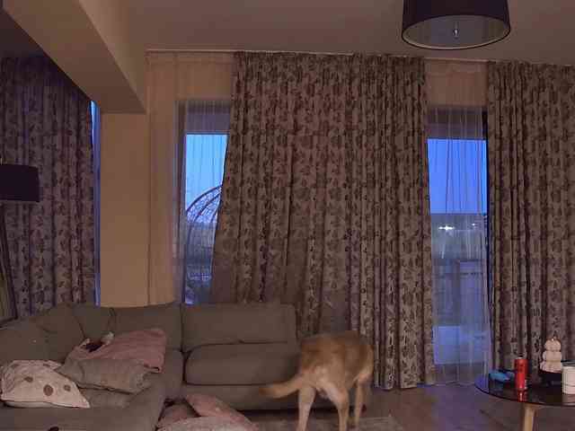 ChloeSinss webcam