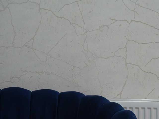FedericaBianchi live cam on BongaCams