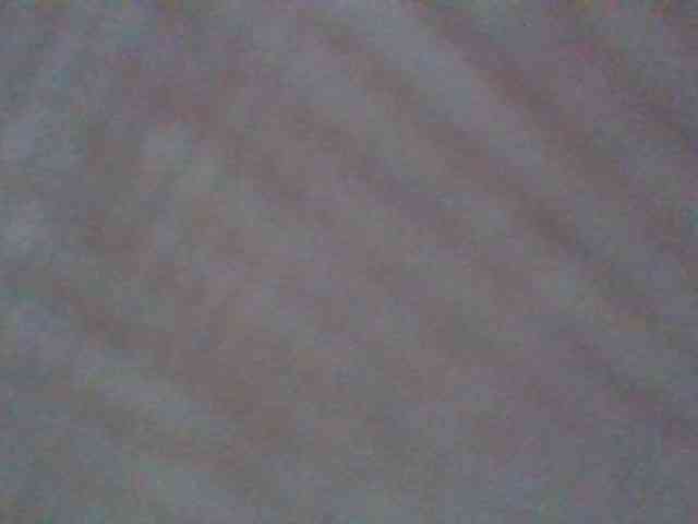 Cutesnyder webcam