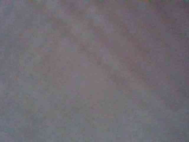 Cutesnyder webcam