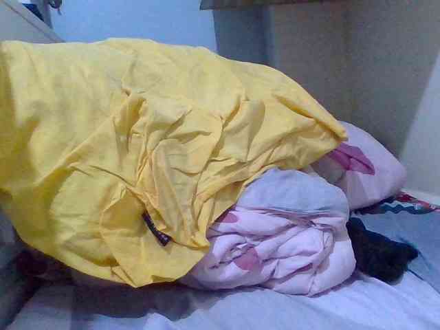Cutesnyder webcam