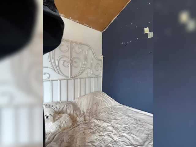 Mikiora live cam on BongaCams