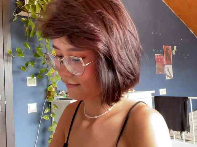 Mikiora webcam